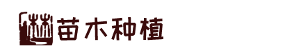 大富豪